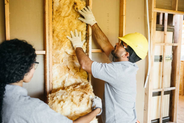 Best Attic Insulation Near Me  in Manhattan, KS