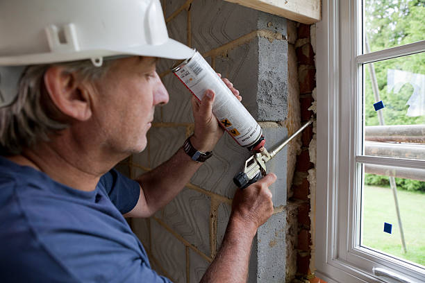 Best Cellulose Insulation  in Manhattan, KS